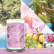WILD ORCHID - Candela Tumbler Grande - Signature - Yankee Candle