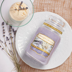 HONEY LAVENDER GELATO -Yankee Candle- Candela Sampler