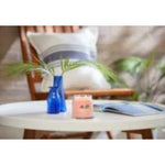 SPICED TROPICAL BREEZE - Yankee Candle- Giara Media - SIGNATURE