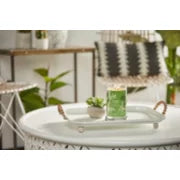 VANILLA LIME -Yankee Candle- Tumbler Grande -SIGNATURE