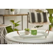 VANILLA LIME -Yankee Candle - Giara Media -SIGNATURE