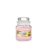 SUNNY DAYDREAM -Yankee Candle- Giara Piccola