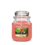 THE LAST PARADISE - Yankee Candle - Giara Media