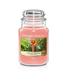 THE LAST PARADISE -Yankee Candle- Giara Grande