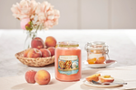 GRILLED PEACHES & VANILLA -Yankee Candle- Giara Media