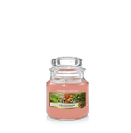 THE LAST PARADISE -Yankee Candle- Giara Piccola