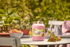 SUNNY DAYDREAM -Yankee Candle- Sfere Profumate