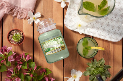 AFTERNOON ESCAPE -Yankee Candle- Giara Media