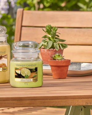 LIME & CORIANDER -Yankee Candle- Giara Grande