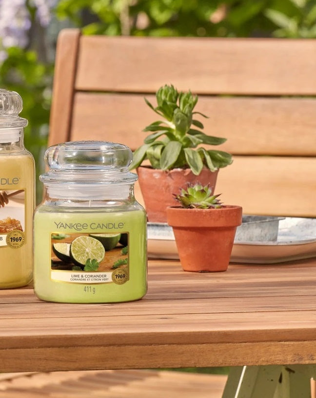 LIME & CORIANDER -Yankee Candle- Candela Sampler