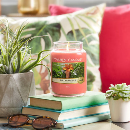 THE LAST PARADISE -Yankee Candle- Giara Grande