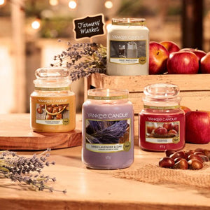 DRIED LAVENDER & OAK -Yankee Candle- Giara Piccola